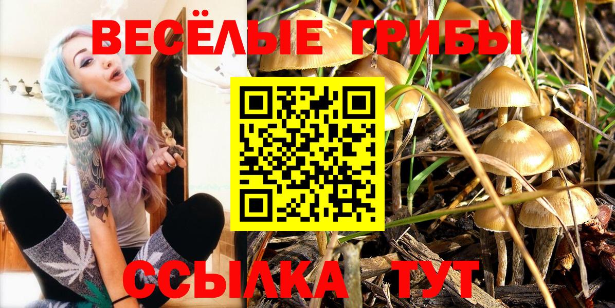 купить   Вход с VPN  Псилоцибиновые грибы мухоморы  Мценск  Псилоцибиновые грибы Psilocybine cubensis 